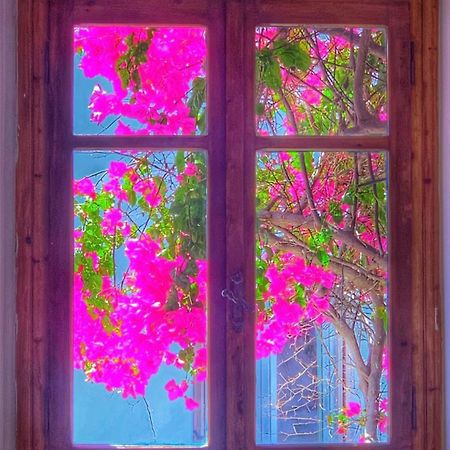 Mare Naxia Hotel Naxos City Zewnętrze zdjęcie